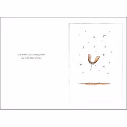 Au début il y a une graine