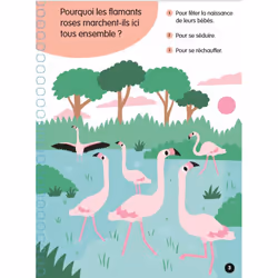 Les bébés animaux