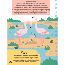Les bébés animaux