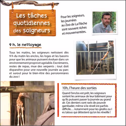 UNE SAISON AU ZOO - Au quotidien avec soigneurs et vétérinaire (Jeunesse)