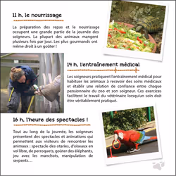 UNE SAISON AU ZOO - Au quotidien avec soigneurs et vétérinaire (Jeunesse)