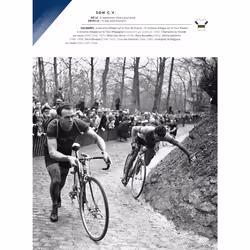 Les étoiles du cyclisme