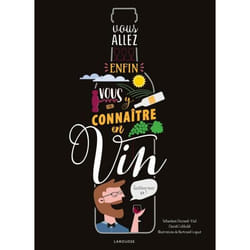 Vous allez enfin vous y connaître en vin (Relié)