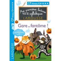 Premières lectures syllabiques - Gare aux fantômes CP N4