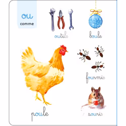 Le grand imagier Montessori des sons et des graphèmes (Cartonné)