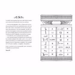 Tu es le héros de la pyramide secrète (Broché) - Vue supplémentaire 5