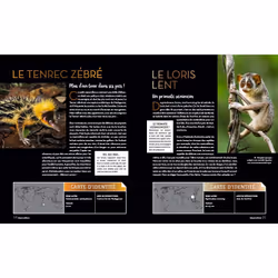 Bizarroïdes ! La vie secrète des animaux les plus étranges (Relié)