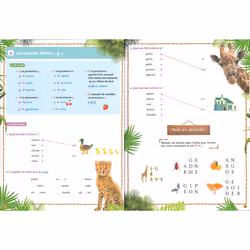 Mon cahier de CP - UNE SAISON AU ZOO