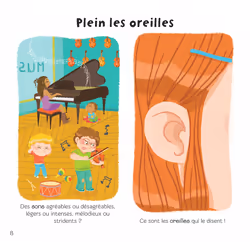 Les 5 sens