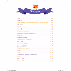Mon super cahier ardoise MS -grandes lettres - premières petites lettres (Broché)
