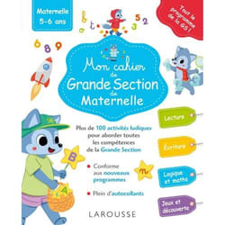 Mon grand cahier de Grande section (Broché)