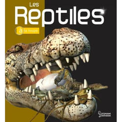 Les Reptiles (Jeunesse)