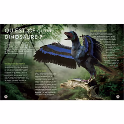 Secrets d'HISTOIRE junior - Si le temps des dinosaures m'était conté (Broché)