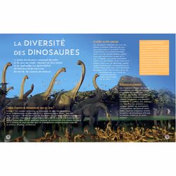 Secrets d'HISTOIRE junior - Si le temps des dinosaures m'était conté (Broché)