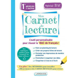 Carnet de lecture lycée (Broché)