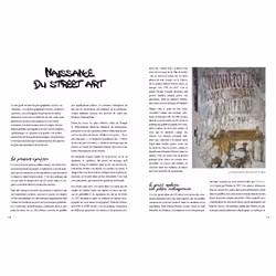 Street art (Broché)