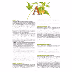 Le Grand Larousse des arbres - Vue supplémentaire 3