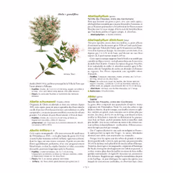 Le Grand Larousse des arbres - Vue supplémentaire 4