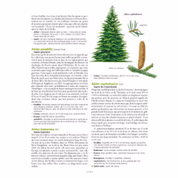 Le Grand Larousse des arbres - Vue supplémentaire 5