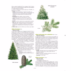 Le Grand Larousse des arbres - Vue supplémentaire 7