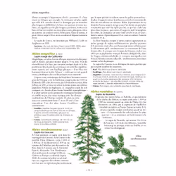 Le Grand Larousse des arbres - Vue supplémentaire 8