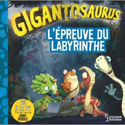 L'épreuve du labyrinthe (Cartonné)