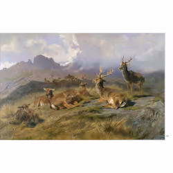 Rosa Bonheur (Relié) - Vue supplémentaire 7