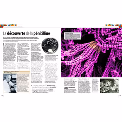 Médecine, histoire illustrée de l'Antiquité à nos jours (Relié)