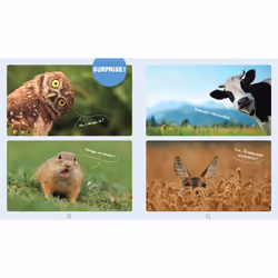 Les animaux les plus mignons du monde