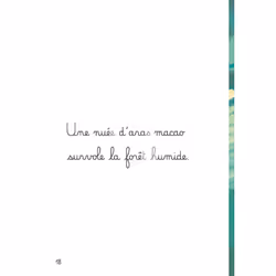 Premières lectures Montessori -L'Amazonie (Broché)