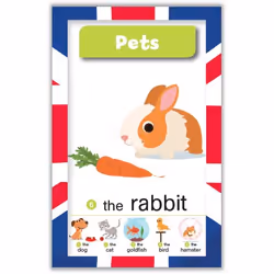 Qui sera le champion en anglais ? My Happy 7 families game