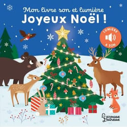 Mon livre son et lumière, Joyeux Noël ! (Cartonné)