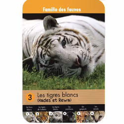 Jeu des 7 familles Une saison au Zoo
