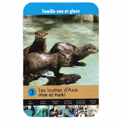Jeu des 7 familles Une saison au Zoo - Vue supplémentaire 4