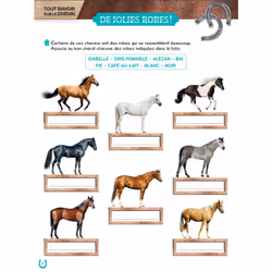 Mon grand cahier d'activités  AU GALOP, spécial Chevaux