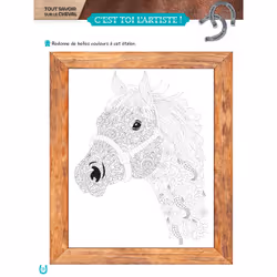 Mon grand cahier d'activités AU GALOP, spécial Chevaux - Vue supplémentaire 4