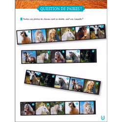 Mon grand cahier d'activités AU GALOP, spécial Chevaux - Vue supplémentaire 6