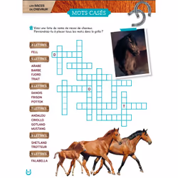 Mon grand cahier d'activités AU GALOP, spécial Chevaux - Vue supplémentaire 7