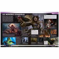 MAGIC the GATHERING Le guide visuel - Vue supplémentaire 4