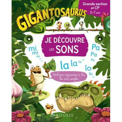 GIGANTOSAURUS Je découvre les sons - GS/CP (Broché)