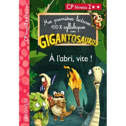 GIGANTOSAURUS - Premières lectures - CP niv 2 - A l'abri, vite ! (Broché)