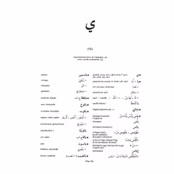 Maxipoche Plus Arabe-Français (Broché)