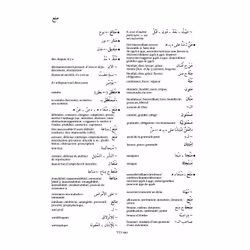 Maxipoche Plus Arabe-Français (Broché)