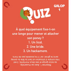 Le quiz 100% Chevaux (Coffret)