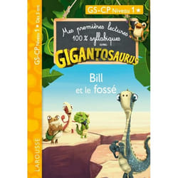 GIGANTOSAURUS - Premières lectures - CP niv 1 - Bill et le fossé (Broché)