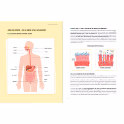 Ma routine anti-inflammatoire - 50 recettes et des conseils pour retrouver un équilibre (Broché)