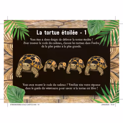 PERDUS DANS LA JUNGLE ! ESCAPE GAME SPECIAL FAMILLE, Meyer Aurore