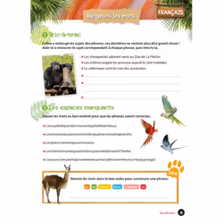 Cahier de vacances UNE SAISON AU ZOO CE1-CE2 (Broché)