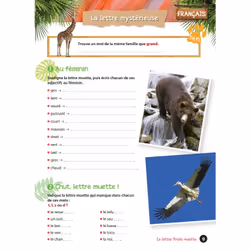 Cahier de vacances UNE SAISON AU ZOO CE2-CM1 (Broché)