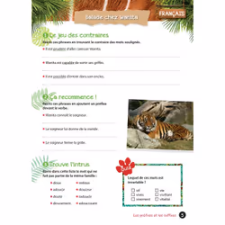 Cahier de vacances UNE SAISON AU ZOO CM1-CM2 (Broché)